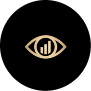 AnomInsight logo